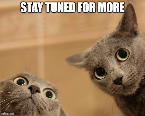 Stay tuned for more